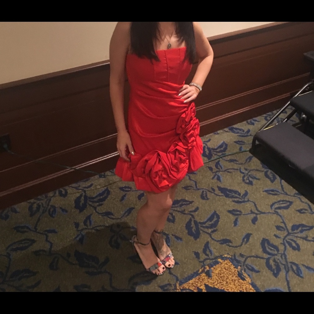 Red Roses Dress - Picture 3 of 3